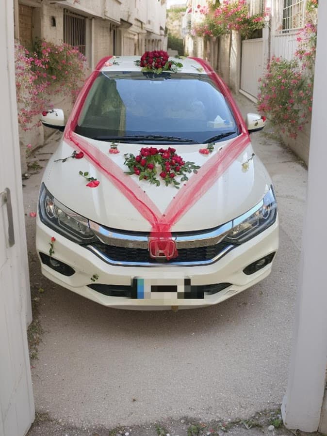 Chudery rent a car & tours gallery 3