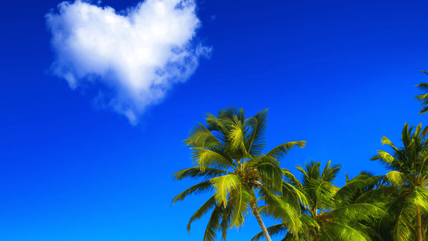 Janas khan rent a car gallery 4