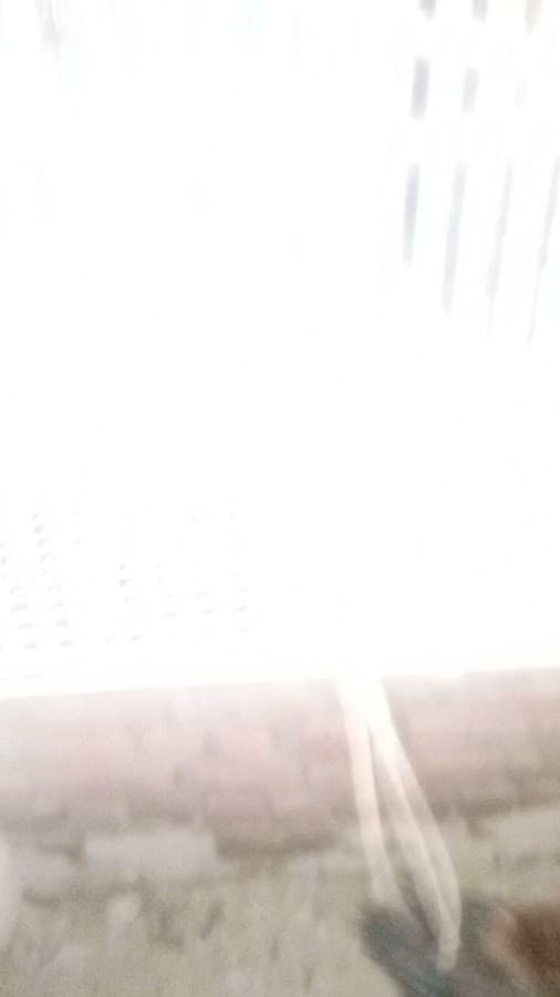 Minhas Milk Shop & car rental gallery 4