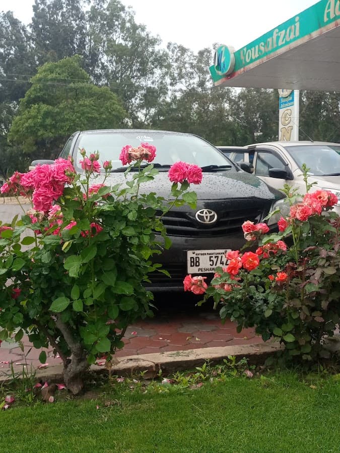 Mini Mazda Truck Transport service gallery 3